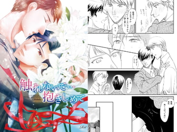 触れないで…抱きしめて [Mahola]