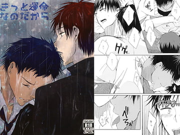 きっと運命なのだから [H/E/A/T/H]