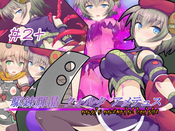 駆錬輝晶 クォルタ アメテュス #2+ [kudarizaka guardrail]