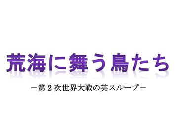 荒海に舞う鳥たち 第2次世界大戦の英スループ [RNVR花組]