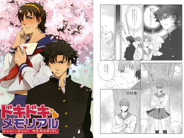 ドキドキメモリアル [少年覚醒夜]