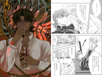 享楽パラドクス [少年覚醒夜]