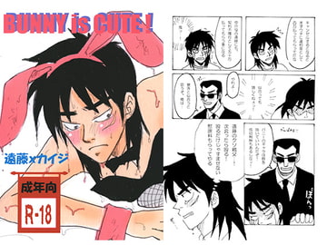 BUNNY is CUTE! [リンシャンカイホー]