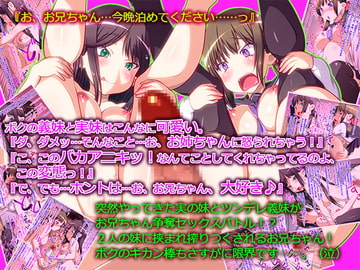 ボクの義妹と実妹はこんなに可愛い。『ダ、ダメ…そんなこと…お、お姉ちゃんに怒られちゃう!』@長すぎって私も怒られそうなので以下略でござる。 [鍋石材店・改]