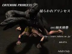 Catching Princess
