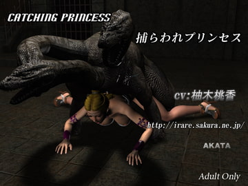 Catching Princess [AKATA]