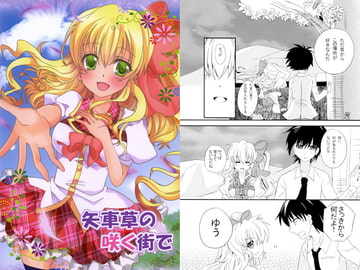 矢車草の咲く街で [きらきら本舗]