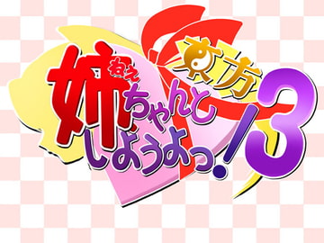 姉、ちゃんと東方しようよっ!3 [物理反射倶楽部]