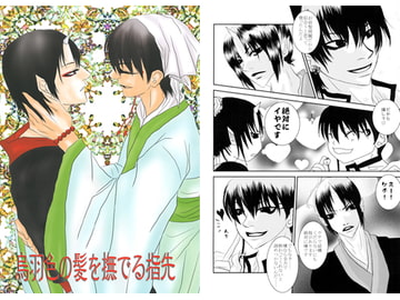 鳥羽色の髪を撫でる指先 [紅碧玉]