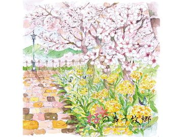 桜の舞う故郷 [Music Pandora]