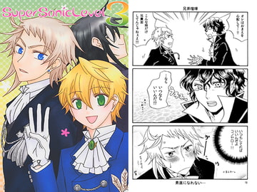 SUPER SONIC LEVEL 3 [青の迷宮]