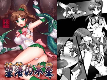 堕落の木星 [堕落事故調査委員会]