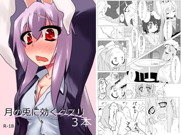 月の兎に効くクスリ3本 [blind alley]