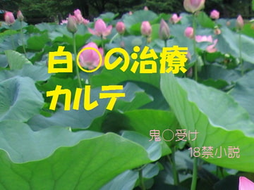 桃源郷治療カルテ [千切り野菜]