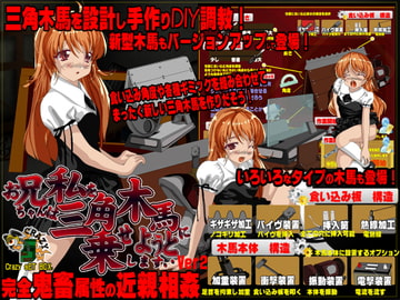 お兄ちゃんは私を三角木馬に乗せようとしますver2 [CRAZY SET BOX]