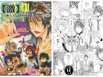 【激】立海FAN-BOOK [MY BABY-10th]