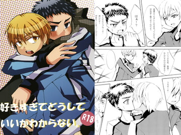 好きすぎてどうしていいかわからない。 [予定運命]