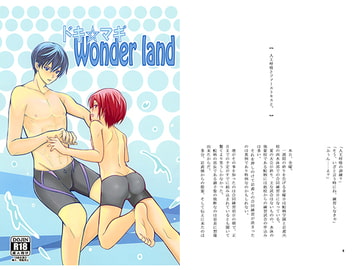 ドキ☆マギ Wonder land [まきまきろーる。]