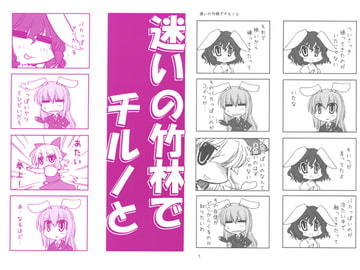 迷いの竹林でチルノと [ユメノシマ]