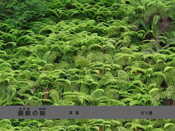 鋼鉄の腕 [灯り屋]