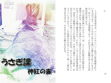 うさぎ課 [神紅の壷]