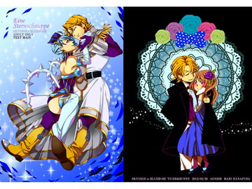 Eine Sternschnuppe [AGNESS]