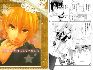 かわいいだけじゃダメかしら [アカンガール]