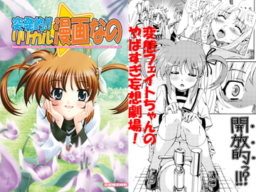 突発的!リリカル漫画なの☆ [志望推定時刻]