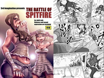 THE BATTLE OF SPITFIRE [3rd imagination]
