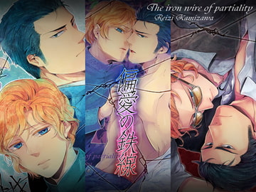 「偏愛の鉄線」上・中・下一括セット [hard days]