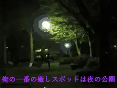 俺の一番の癒しスポットは夜の公園