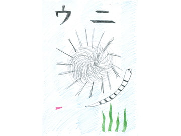 ウニ [こしjolly]