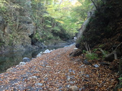 Binaural Sounds: Mountain stream [Gunpowder 400g ]