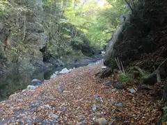 バイノーラルflac環境音:渓流(後編)