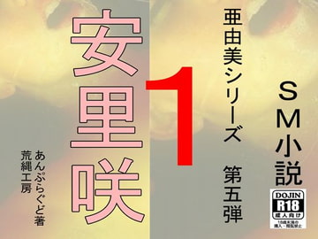 安里咲 1 [荒縄工房]