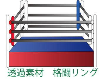 透過素材  格闘リング [氷と葛と葉っぱの館]