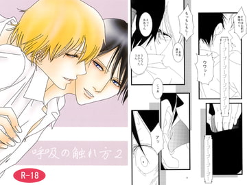 呼吸の触れ方2 [蝸牛に螺旋]