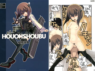 鳳凰翔舞 [R-WORKS]