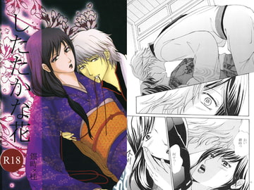 したたかな花 [Hotelロック座]