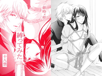 縛ってみた [Hotelロック座]