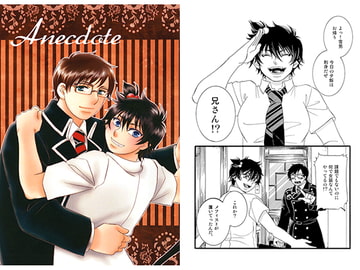 Anecdote [Cornflower]