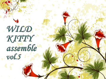 WILD KITTY assemble vol.5 [WILD KITTY STRIKE]
