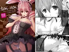 Soni-Hon そにほん
