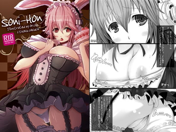 Soni-Hon そにほん [エイホク学園]