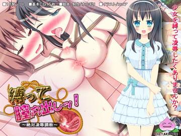 縛って膣内出しッ!～絶対陵○調教～ [けつももこ]