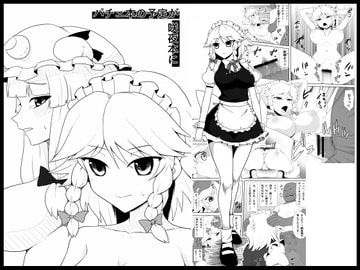 パチェ本の予定が咲夜本に [モーレット]