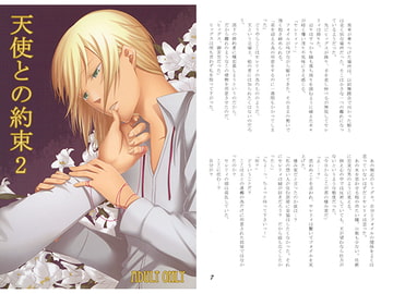 天使との約束2　完結編 [ナチュラル]