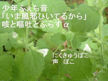 少年ふぇち音「いま風邪ひいてるから」咳と嘔吐とぷらすα [にくきゅう ぽこ]