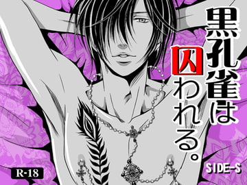 黒孔雀は囚われる。 SIDE-S [a bullet.]