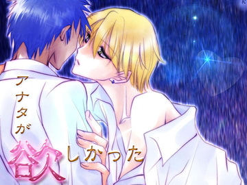 アナタが欲しかった [あも屋]